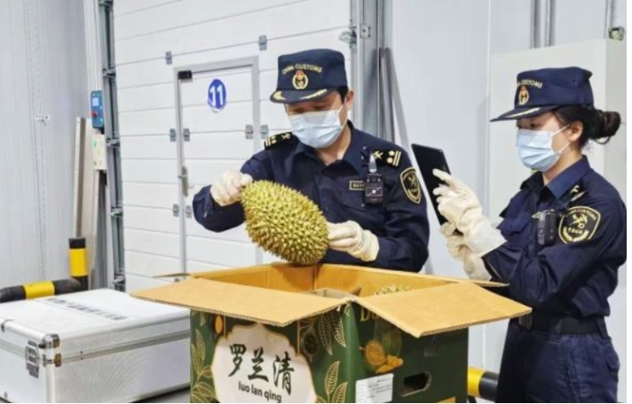 2025年新澳门精准免费大全