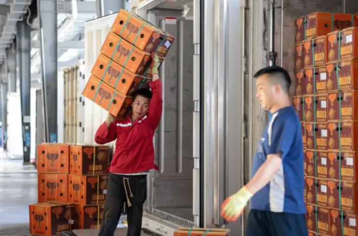 2025年新澳门精准免费大全