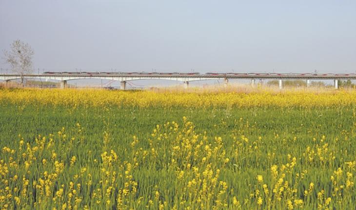 2025年新澳门精准免费大全