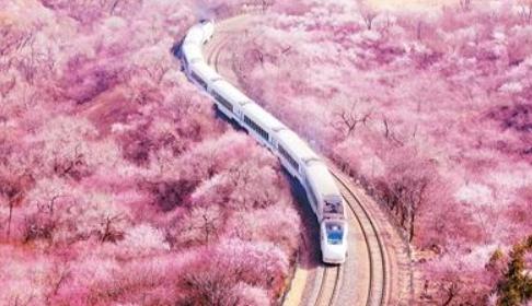 2025年新澳门精准免费大全