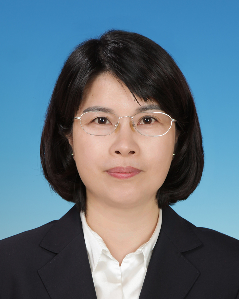 2025年新澳门精准免费大全