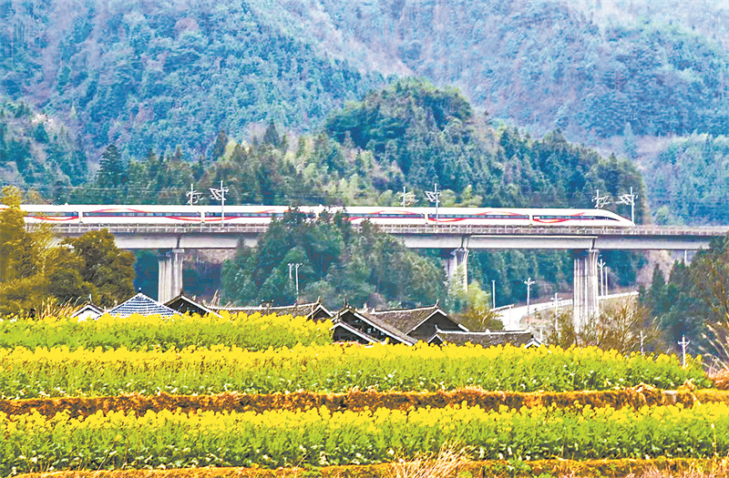2025年新澳门精准免费大全