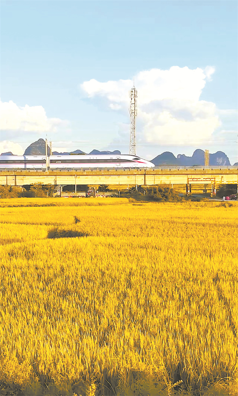 2025年新澳门精准免费大全