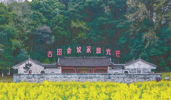 2025年新澳门精准免费大全