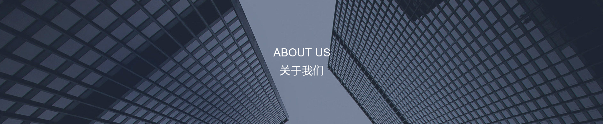 2025年新澳门精准免费大全