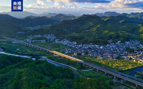 2025年新澳门精准免费大全