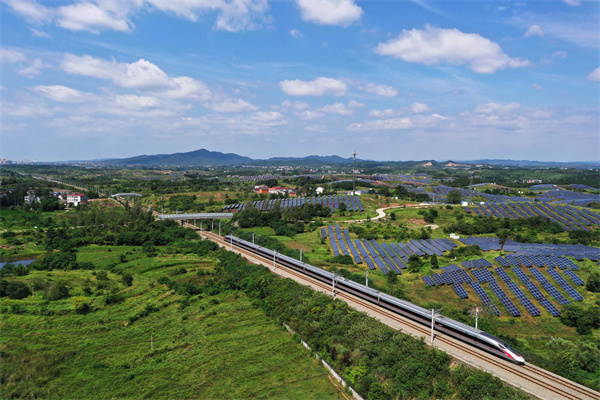 2025年新澳门精准免费大全