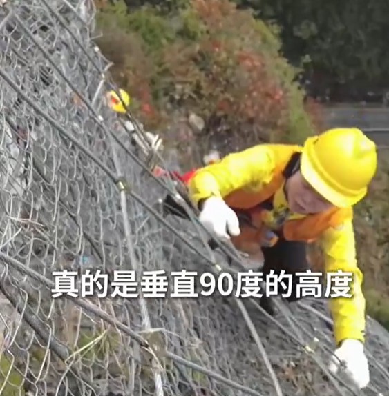 2025年新澳门精准免费大全