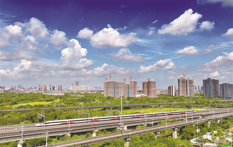 2025年新澳门精准免费大全