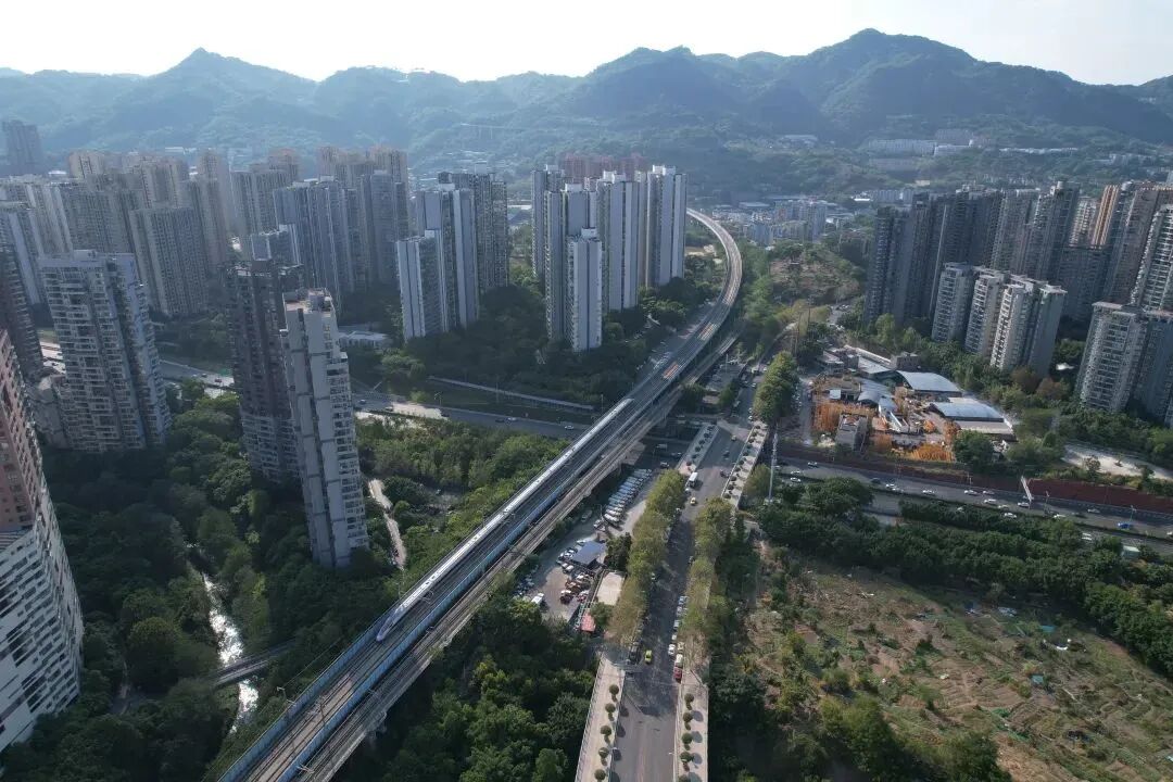 2025年新澳门精准免费大全