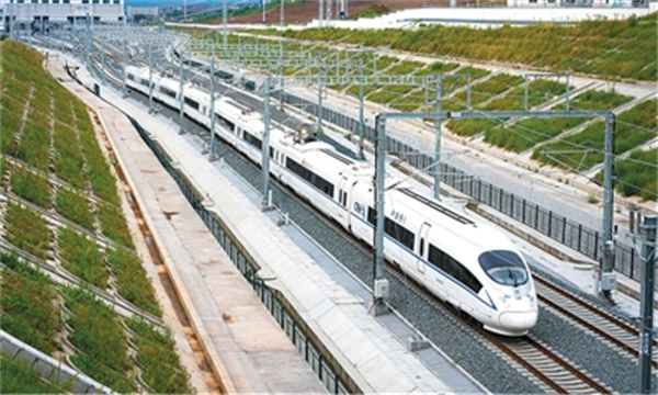 2025年新澳门精准免费大全
