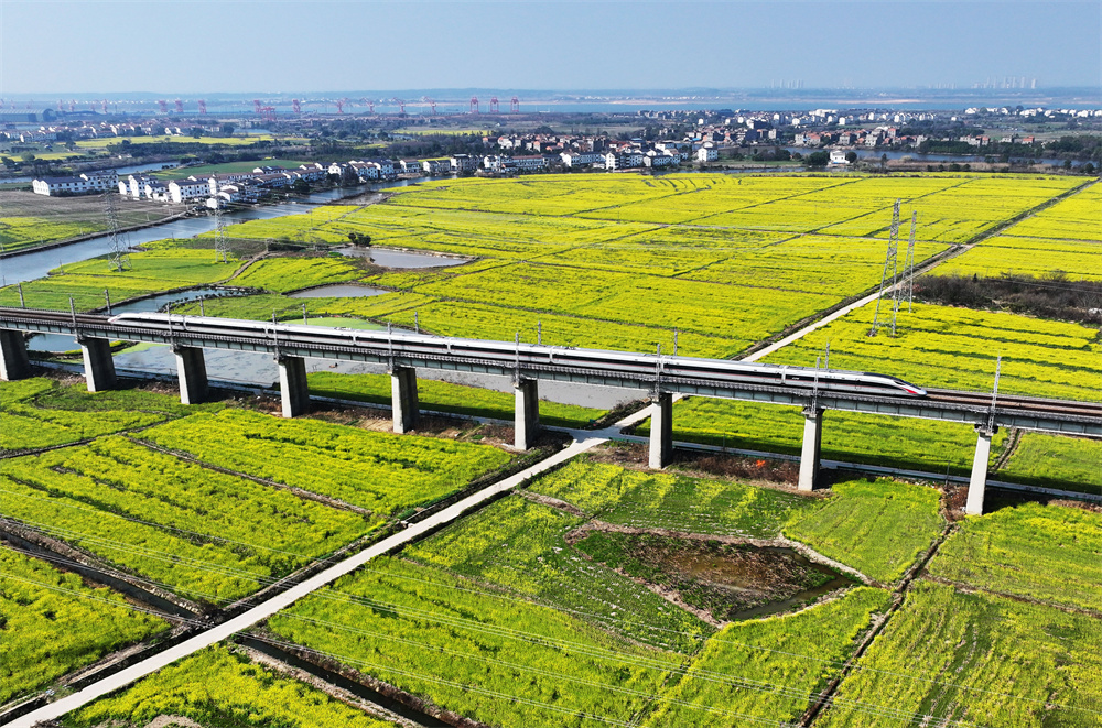 2025年新澳门精准免费大全