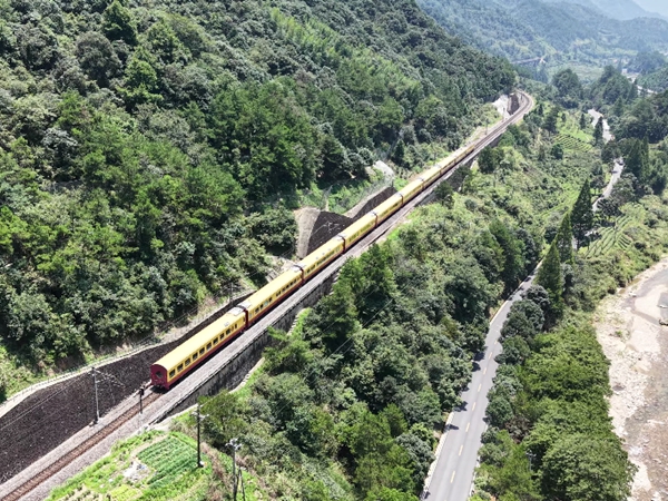 2025年新澳门精准免费大全