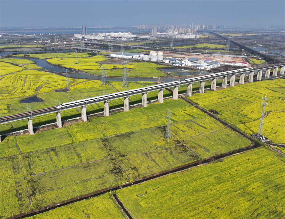 2025年新澳门精准免费大全