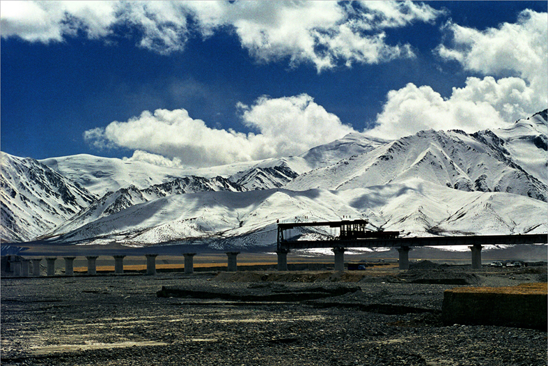 2025年新澳门精准免费大全
