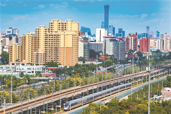 2025年新澳门精准免费大全