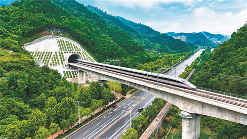 2025年新澳门精准免费大全