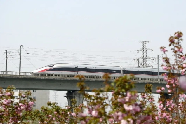 2025年新澳门精准免费大全