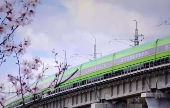 2025年新澳门精准免费大全