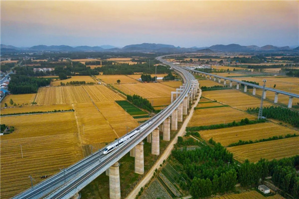 2025年新澳门精准免费大全