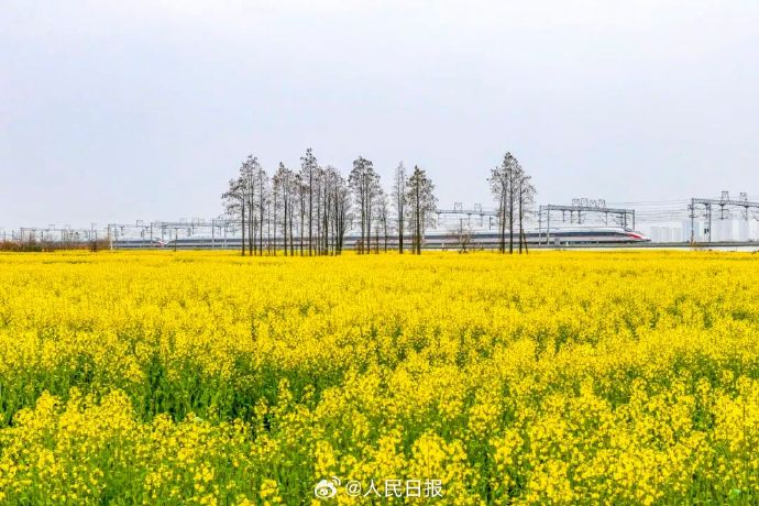 2025年新澳门精准免费大全