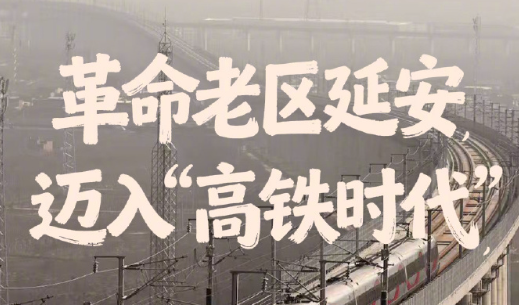 2025年新澳门精准免费大全