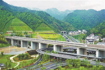 2025年新澳门精准免费大全