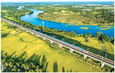 2025年新澳门精准免费大全