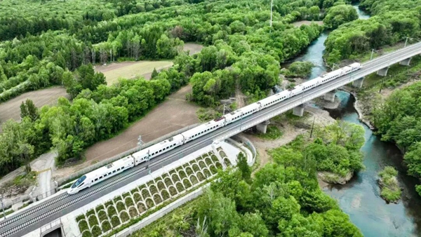 2025年新澳门精准免费大全