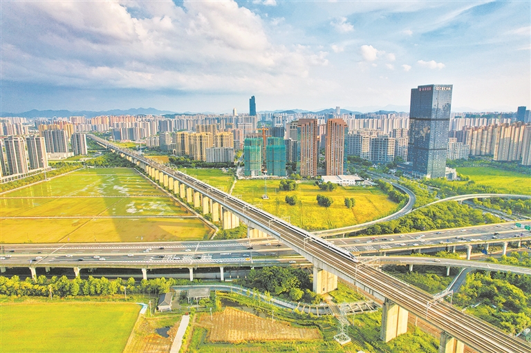 2025年新澳门精准免费大全