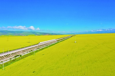 2025年新澳门精准免费大全