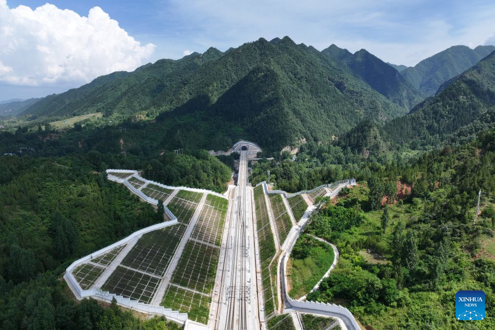 2025年新澳门精准免费大全