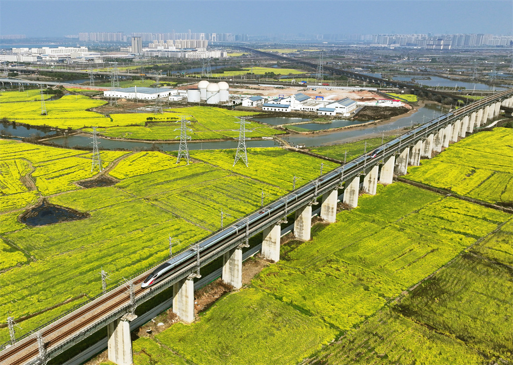 2025年新澳门精准免费大全