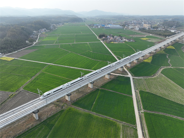 2025年新澳门精准免费大全