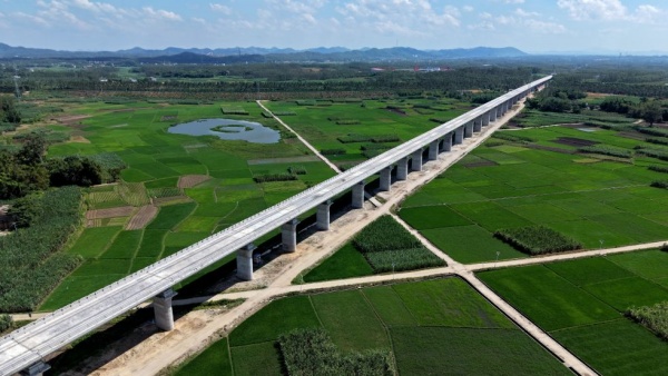 2025年新澳门精准免费大全