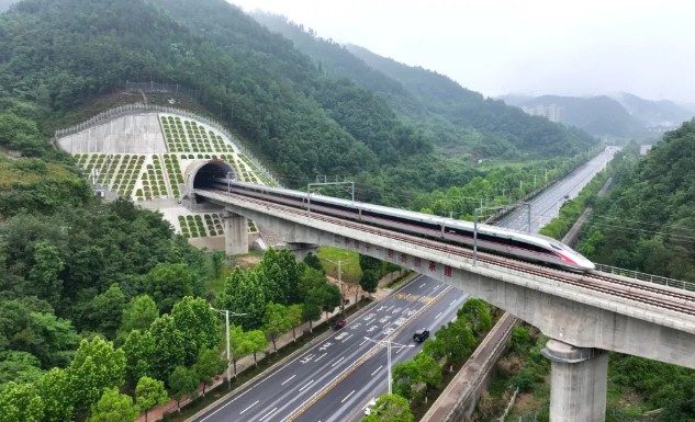 2025年新澳门精准免费大全