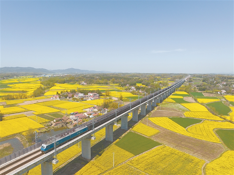 2025年新澳门精准免费大全