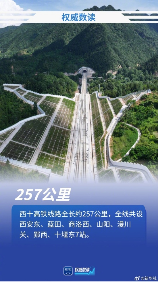 2025年新澳门精准免费大全