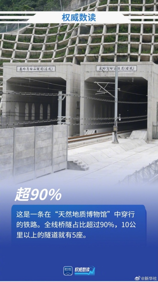 2025年新澳门精准免费大全