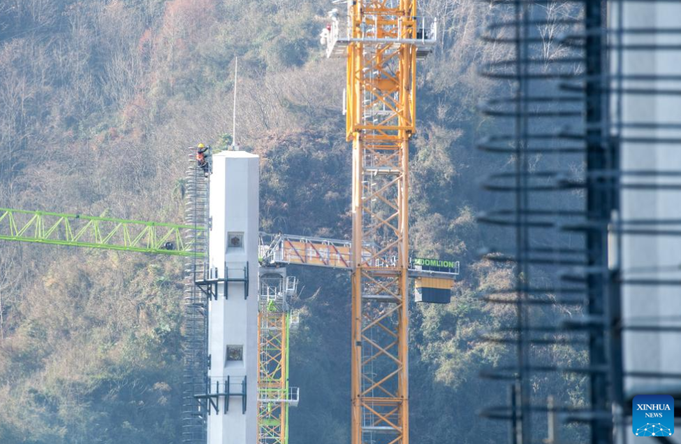 2025年新澳门精准免费大全