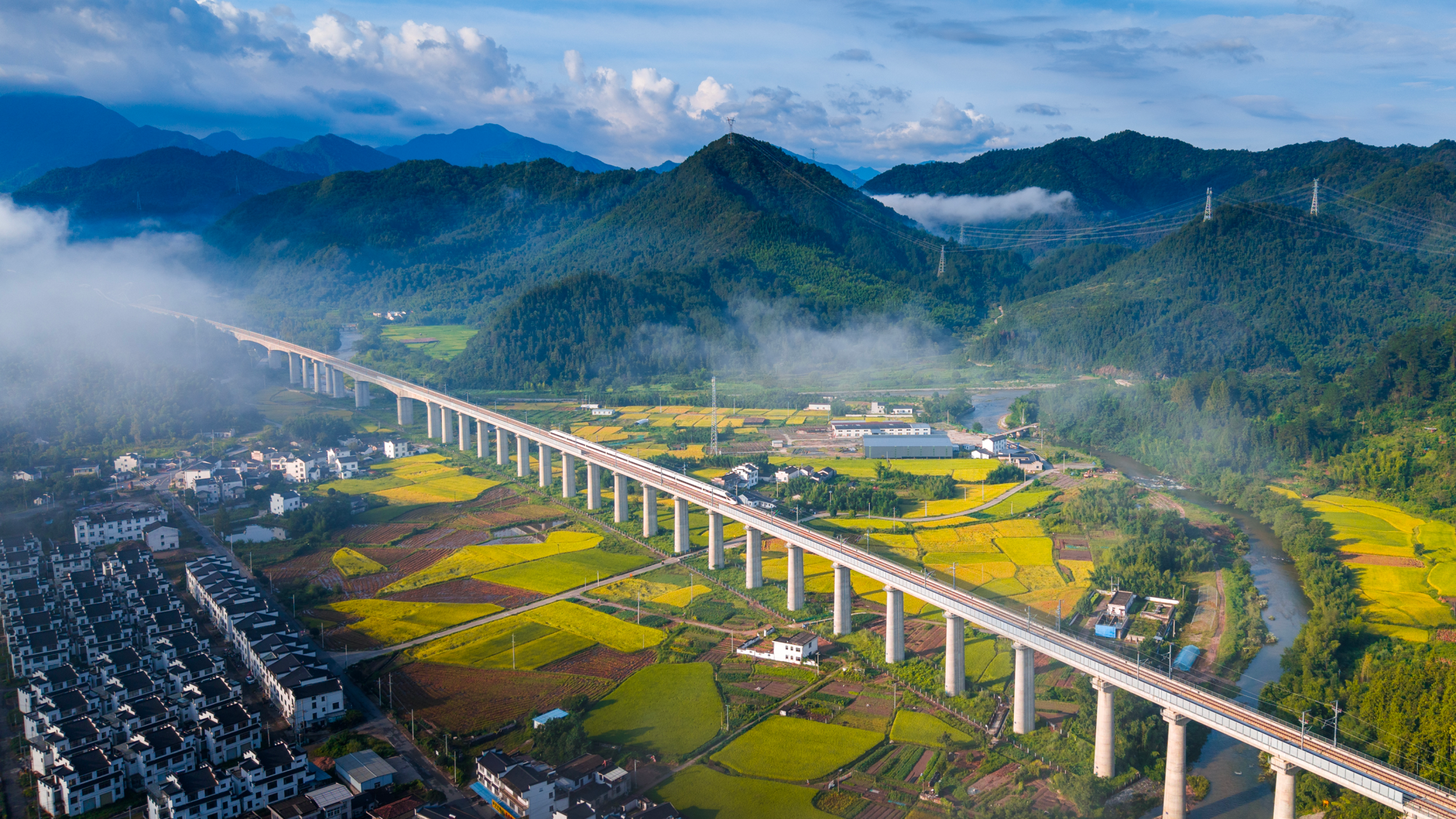 2025年新澳门精准免费大全