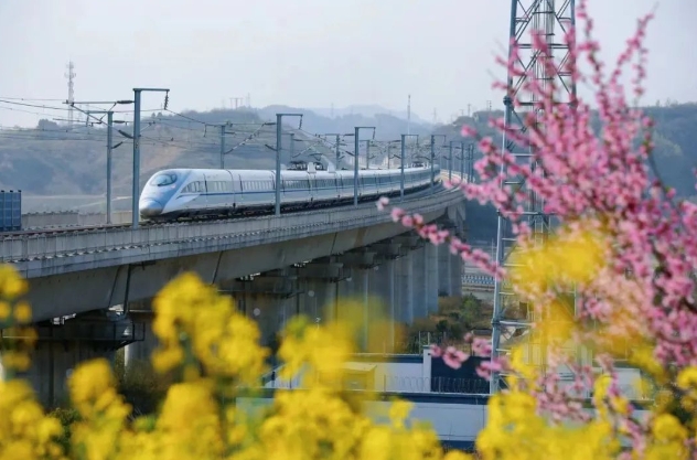 2025年新澳门精准免费大全
