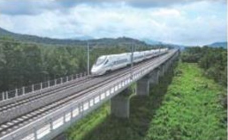 2025年新澳门精准免费大全
