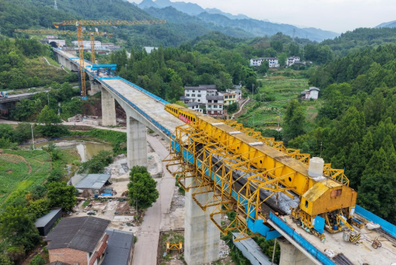 2025年新澳门精准免费大全