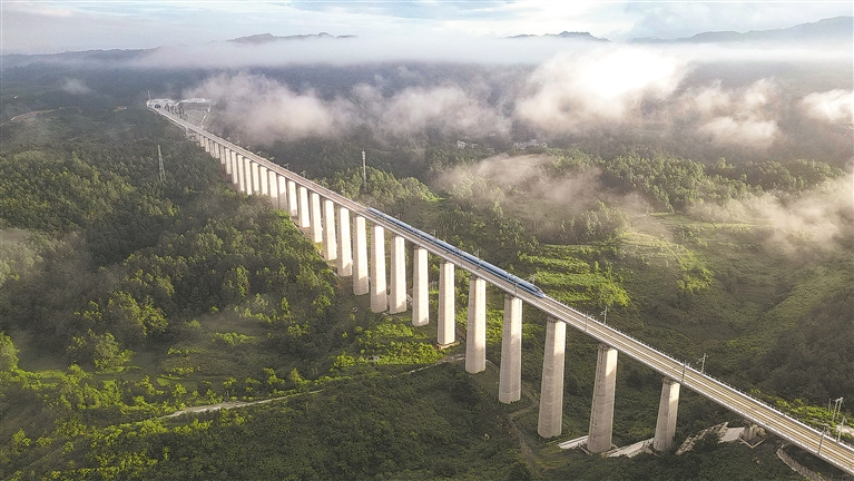 2025年新澳门精准免费大全