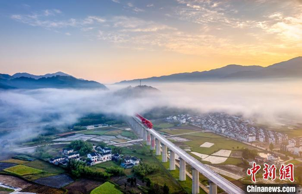 2025年新澳门精准免费大全