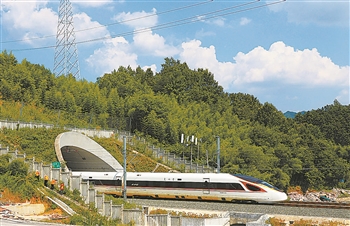 2025年新澳门精准免费大全