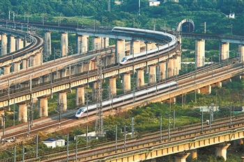 2025年新澳门精准免费大全