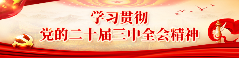 2025年新澳门精准免费大全