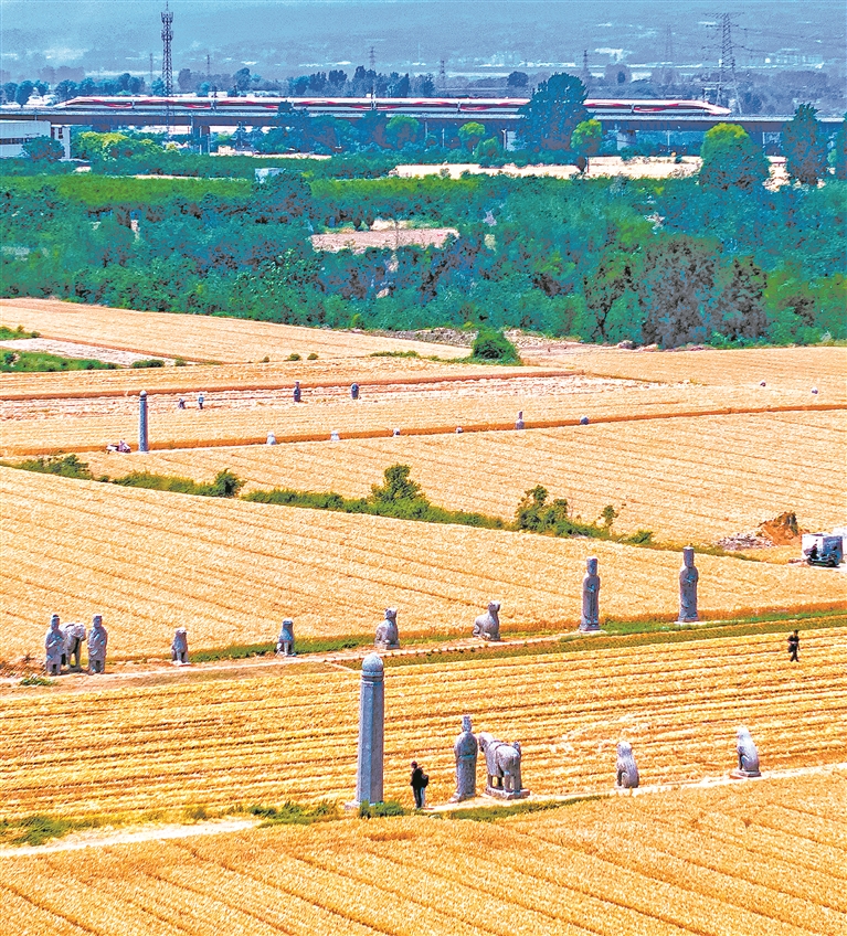 2025年新澳门精准免费大全